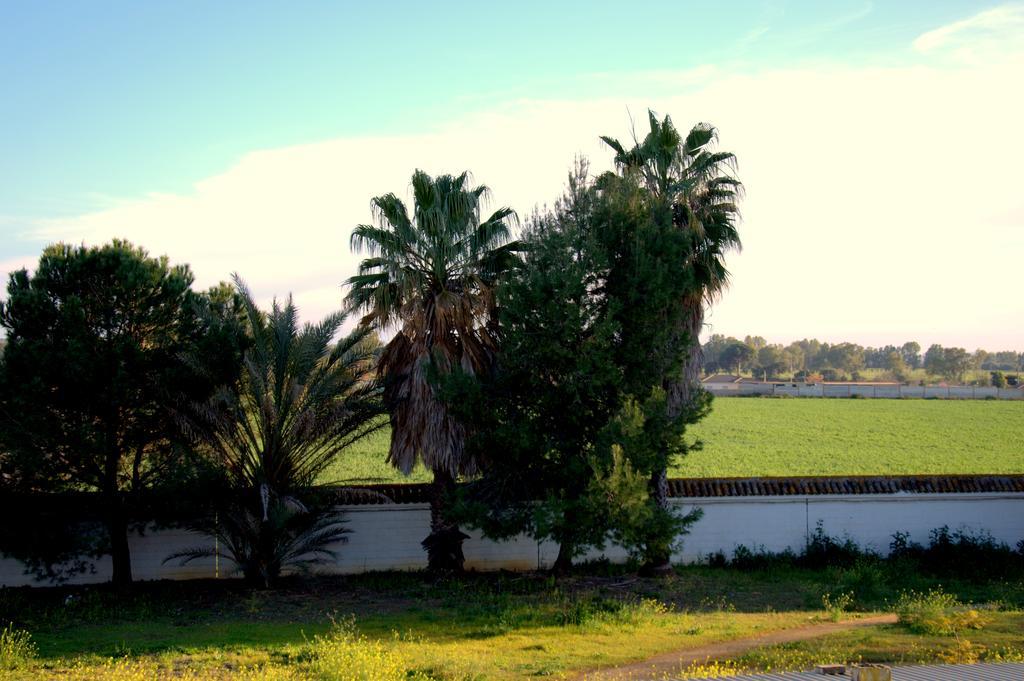 Hotel Palmero Torrepalma Luaran gambar